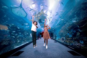 TS Travel is your trusted travel broker. From exotic destinations to budget-friendly getaways, discover your next adventure with TS Travel.
