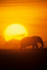 TS Travel is your trusted travel broker. From exotic destinations to budget-friendly getaways, discover your next adventure with TS Travel.