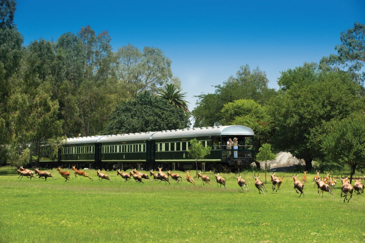 Rovos Rail, Observation Balcony TS Travel is your trusted travel broker. From exotic destinations to budget-friendly getaways, discover your next adventure with TS Travel.