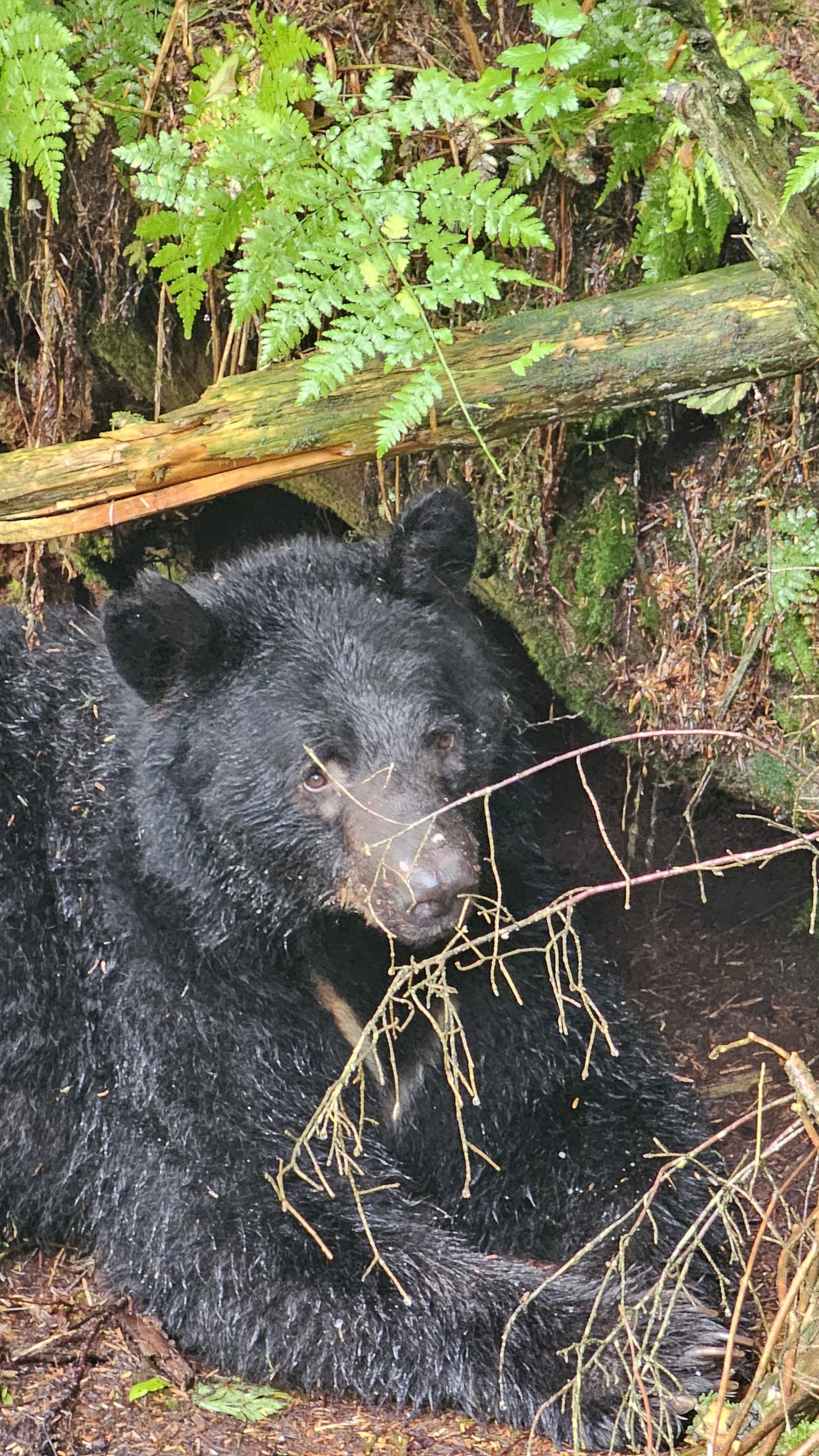 Bear TS Travel is your trusted travel broker. From exotic destinations to budget-friendly getaways, discover your next adventure with TS Travel.