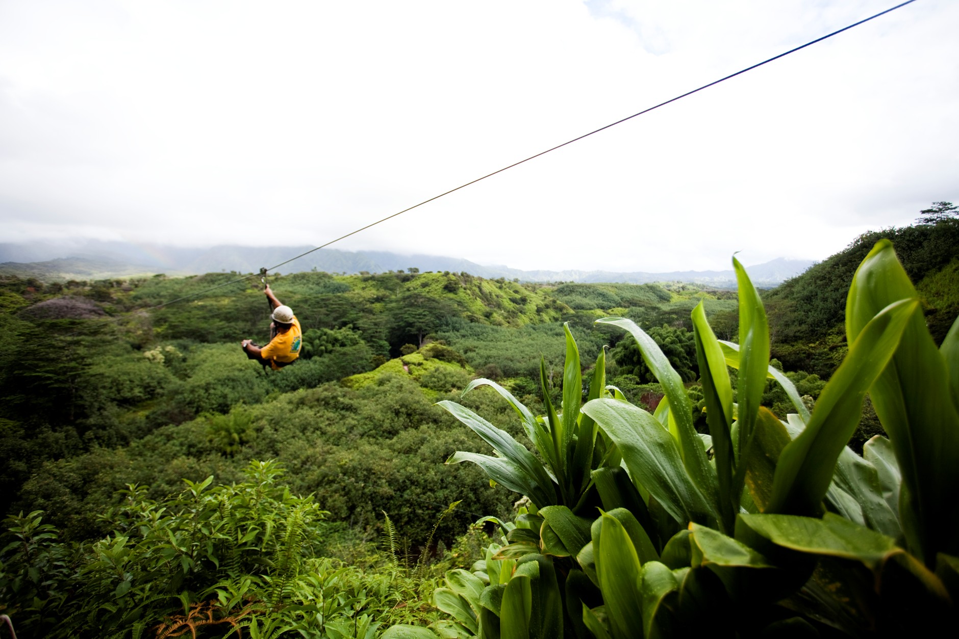 Hilo Big Island TS Travel is your trusted travel broker. From exotic destinations to budget-friendly getaways, discover your next adventure with TS Travel.