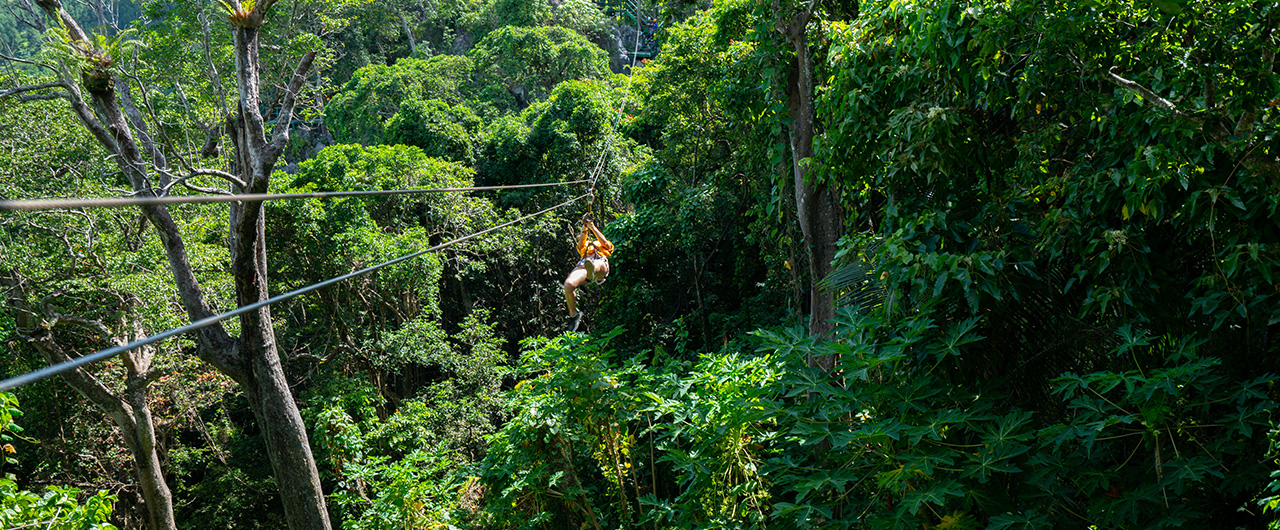 Person ziplining through rainforest in Fiji