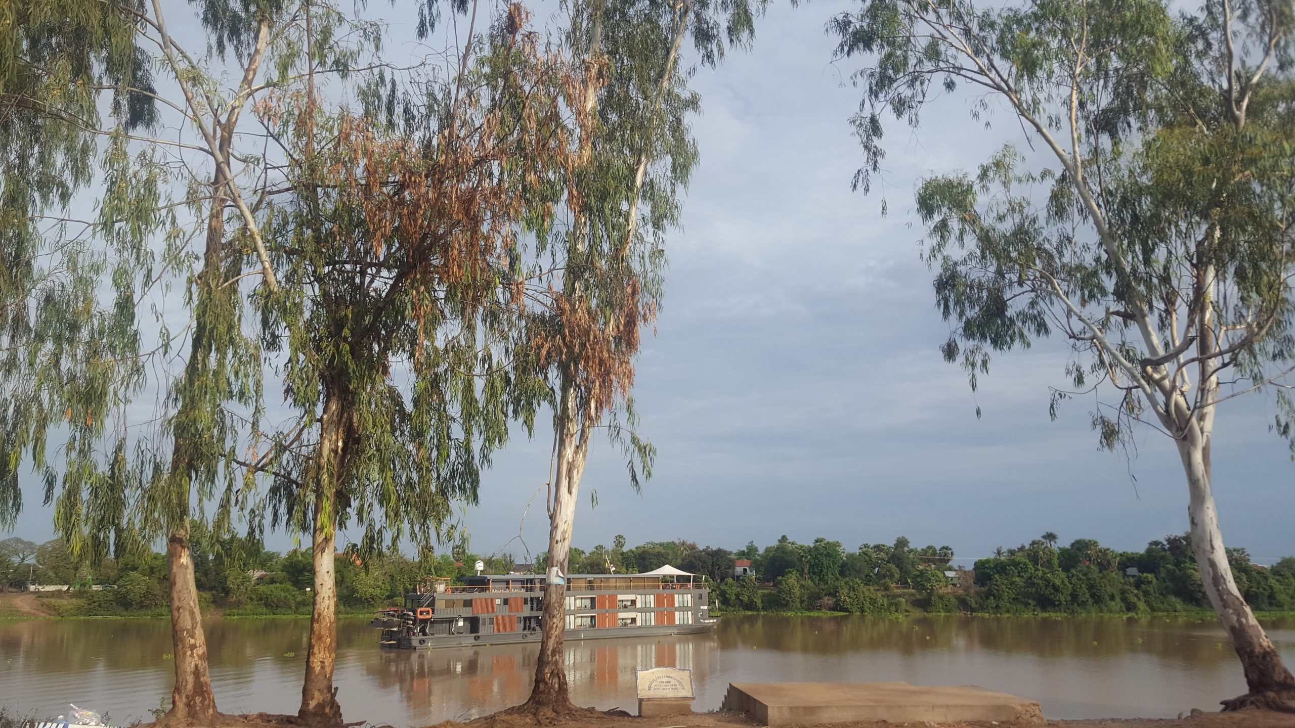 Aqua Expeditions Aqua Expeditions river ship sailing through rural Cambodia, framed by eucalyptus trees.
