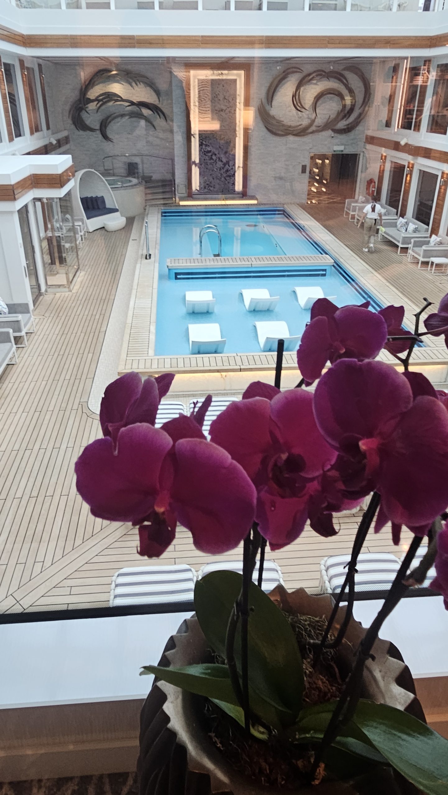 The Haven Luxury cruise pool deck framed by purple orchids, evoking calm and elegance.