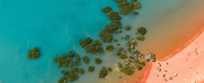 Aerial view of Western Australia’s remote coastline with turquoise water, mangroves, and coral-coloured sand.