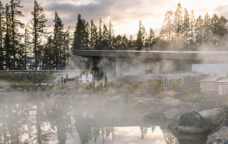 Geothermal hot pools surrounded by forest in New Zealand at sunrise