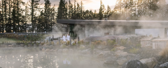 Geothermal hot pools surrounded by forest in New Zealand at sunrise