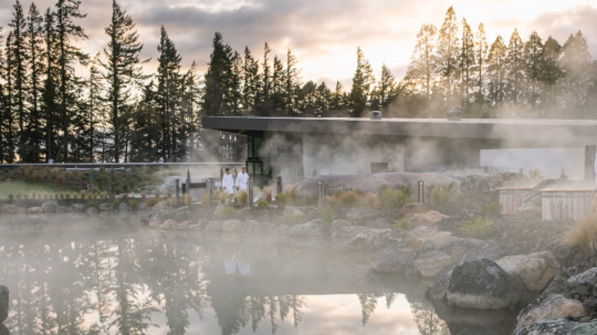 Geothermal hot pools surrounded by forest in New Zealand at sunrise