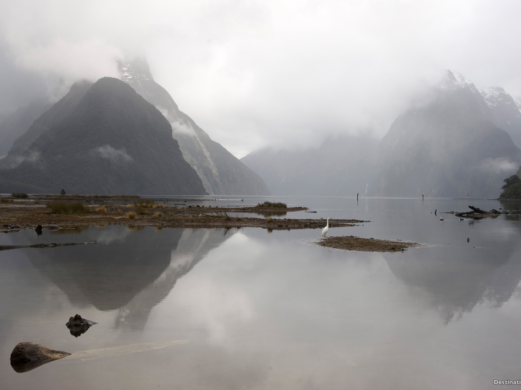 Milford Sound in low cloud Misty Milford Sound with mountains reflected in still water, New Zealand